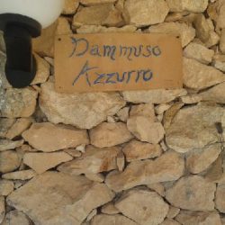 Dammuso_azzurro_1